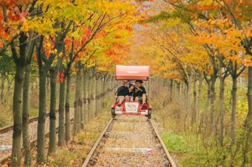 Gangchon Rail Biking experience