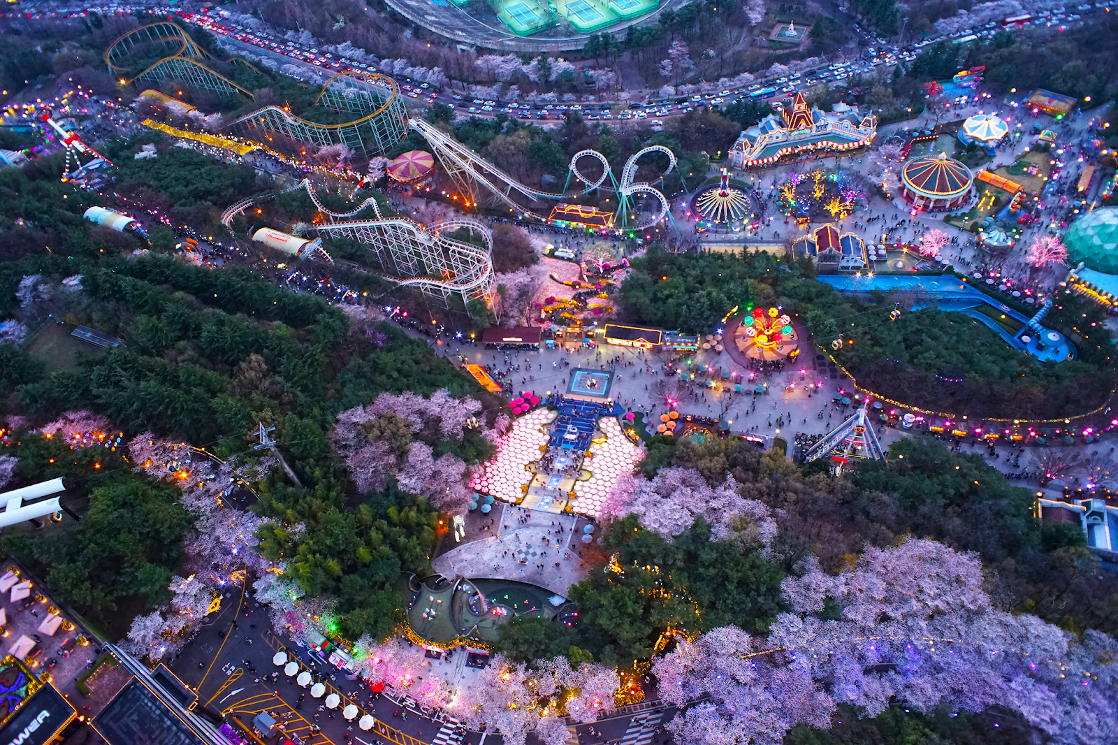 Everland Theme Park1