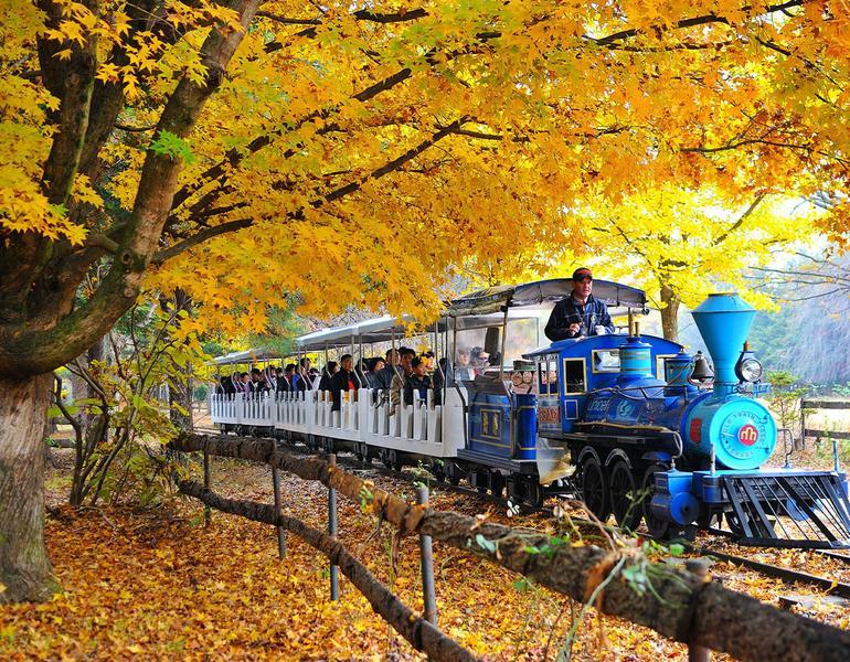 Nami Island_2