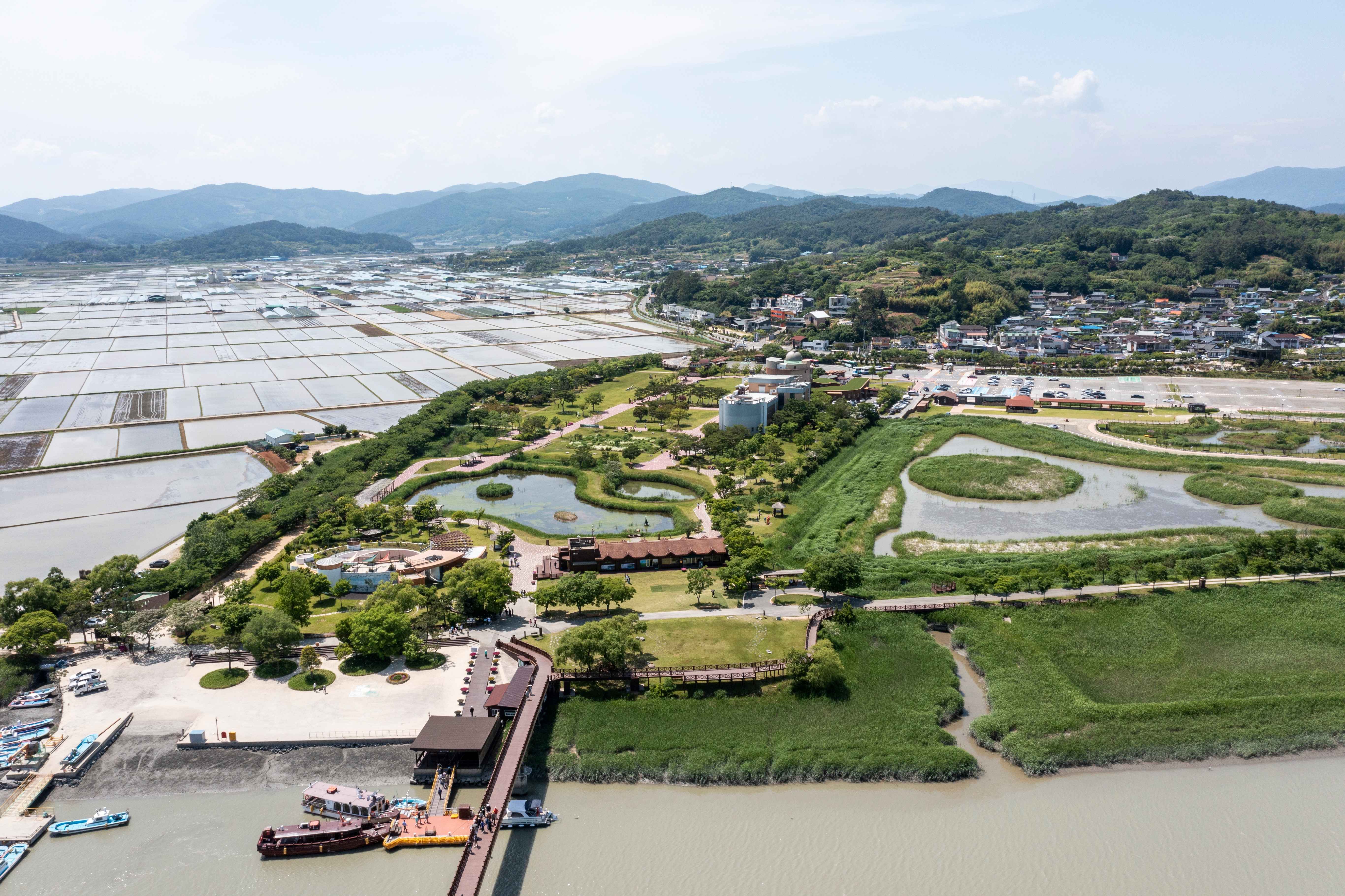 Suncheon Bay Ecological Park & Reed Marshes