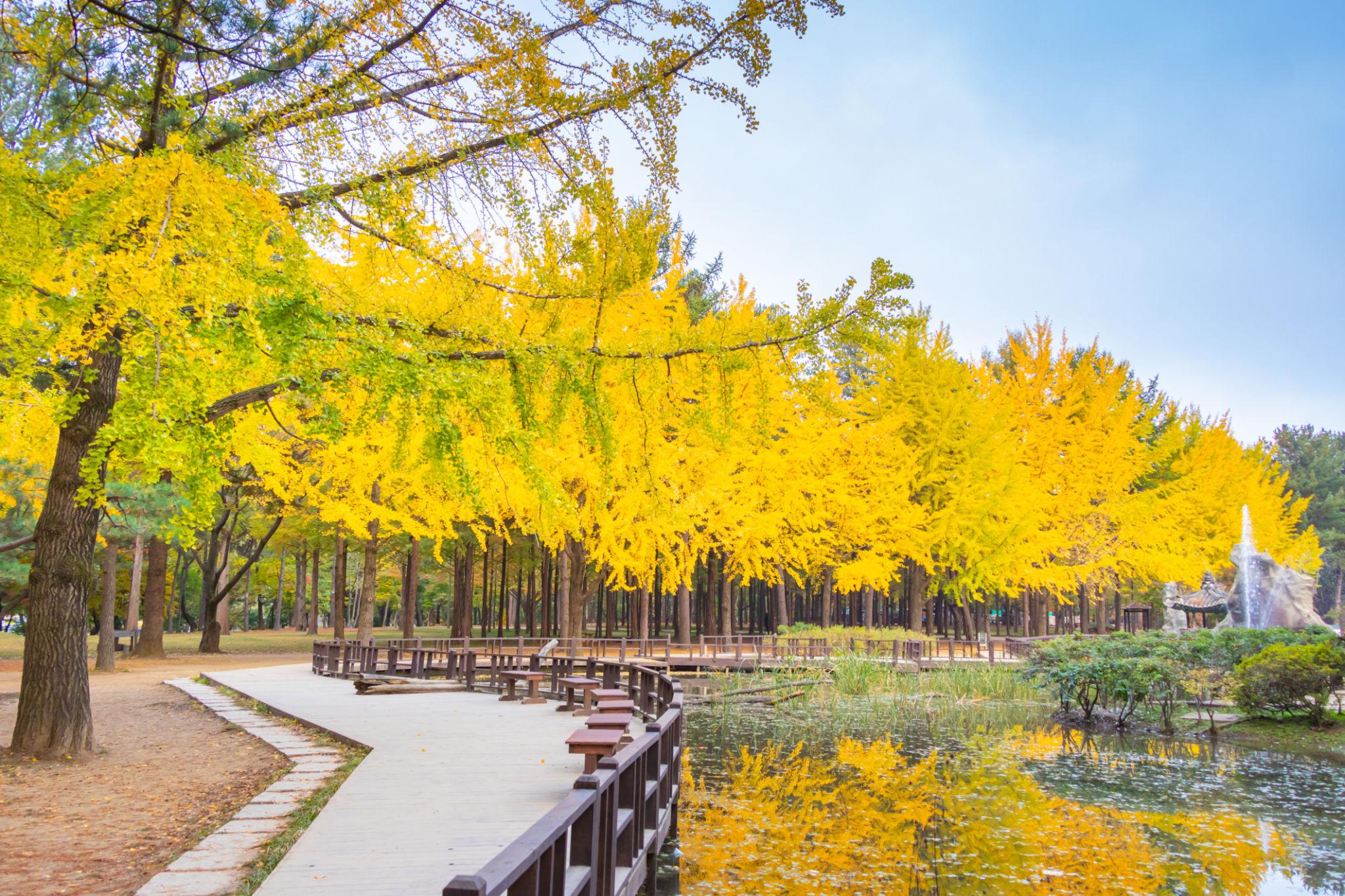 Nami Island (Namiseom)