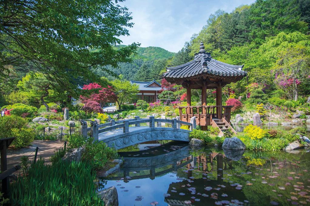 Garden of Morning Calm